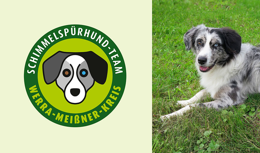 Logo Schimmelspürhund Schimmelspürhund Werra-Meissner-Kreis